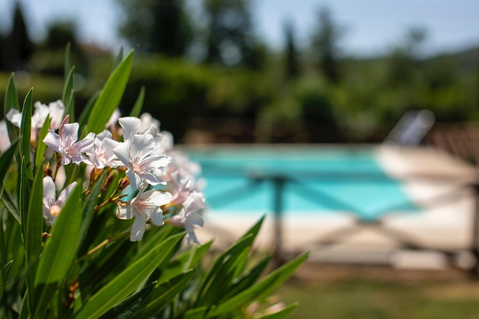 Agriturismo Podere Acqualoreto Bagian luar foto